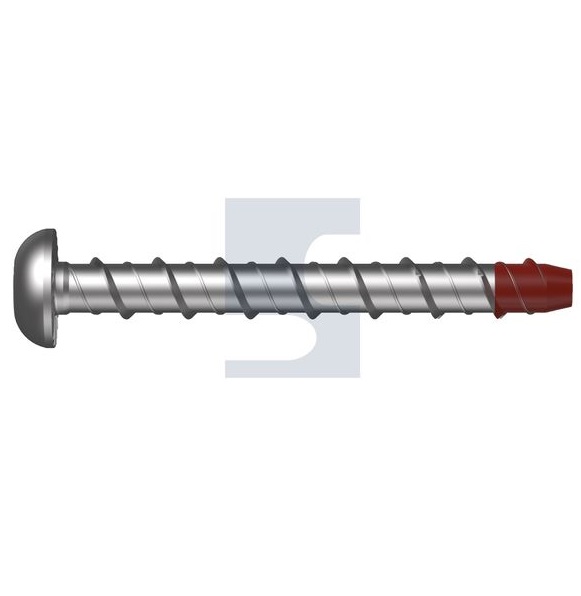 Dome Head Screw Bolts 